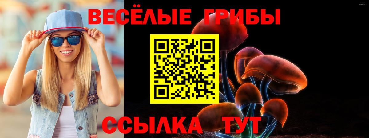 Галлюциногенные грибы мицелий  Галлюциногенные грибы прущие грибы  Кумертау  Вход с VPN 